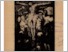 [thumbnail of szulok_lapja_1930_004.pdf]