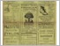 [thumbnail of tost_kerteszeti_hirdetoje_1932_025.pdf]
