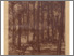 [thumbnail of pesti_naplo_kepes_melleklet_1926_01_24.pdf]